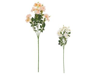 Ks ruža šípová, mix/2f 60cm