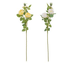 Ks ruža šípová mix/2f 68cm