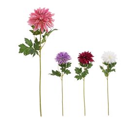 Ks dalia mix/4f 62cm