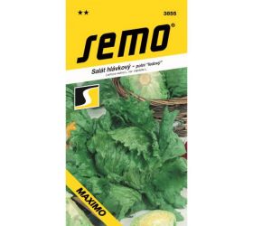 Šalát hl.ľadový maximo 0,6g