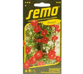 Kvamoklit kardinal 1g