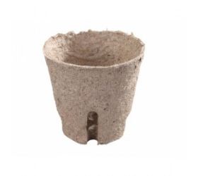 Rašel.sadb. okrúhly 6cm en