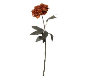 Ks pivónia hnedá 68cm