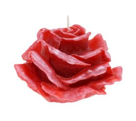 Ruža elizabeth veľ.červená 12x8