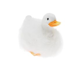 Kačica poly 8*5,5*7cm