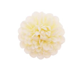 Hlava dália krémová 9cm