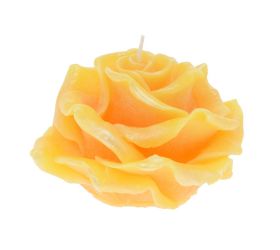 Ruža elizabeth veľ.žltá 12x8