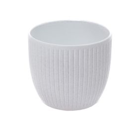 Obal belice coconut 24cm