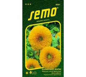 Slnečnica ročná teddy bear 1g