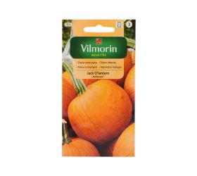 Tekvica obyčajná jack o´lantern 2g