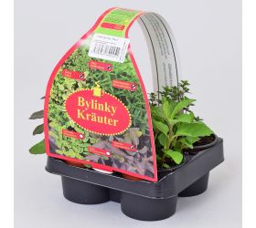 Bylinky mix grill 4 pak