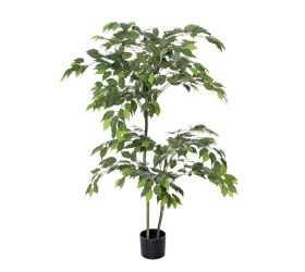 Fikus zel.v plast.črepníku zel. 150cm