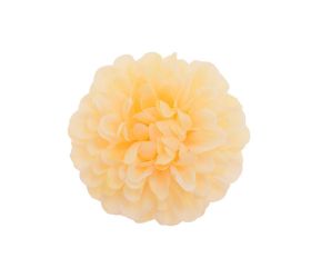 Hlava dália lososová 9cm