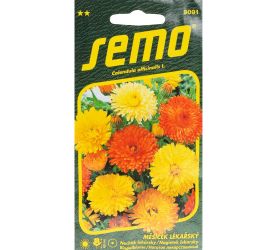 Nechtík pacific beauty 1g