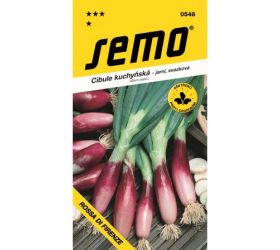 Cibuľa rossa di firenze 2g