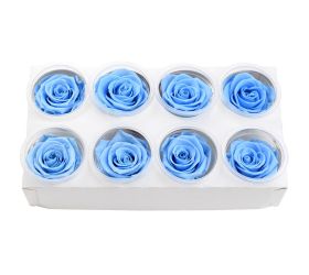Ruža preparovaná 5cm baby blue /ks