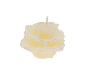 Ruža elizabeth malá krém 7x5