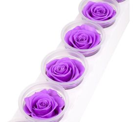 Ruža preparovaná 6,5cm baby lily /ks - bal. 6 ks