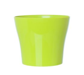 Obal tulipán zelené jablko 19xh16cm