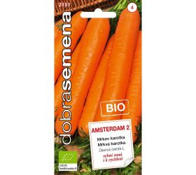 Mrkva karotka amsterdam 2 bio 2g