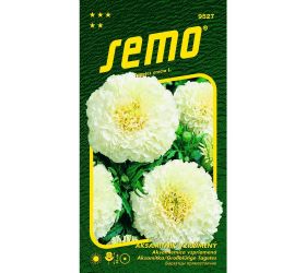 Aksamietnica vzpriamená kilimanjaro 15s