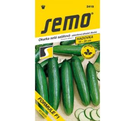 Uhorka skl formule f1 10s