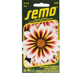 Gazánia lesklá daybreak rose stripe f1 15s