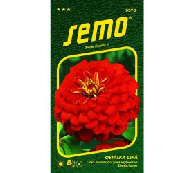 Cínia cherry queen 0,7g