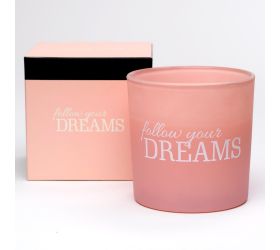 Voň.v skle follow your dreams dva knôty sn100m-313