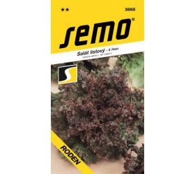 Šalát listový roden 0,8g