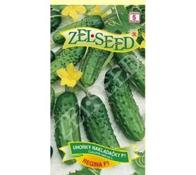 Uhorky nakl regina f1 1,8g