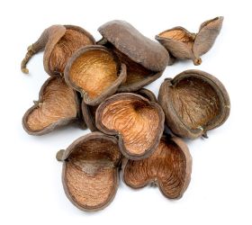 Badam nat bal.10 ks t006