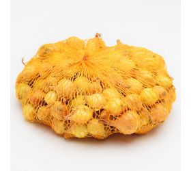 Cibuľa sadiačka štut. 500g/40