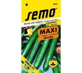 Uhorka šalát. sklenník. orca f1 10s.