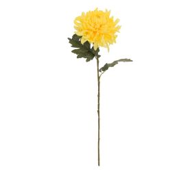 Ks chryzantéma žltá 68cm