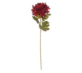 Ks chryzantéma bordová 70cm