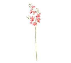 Ks orchidea phalaenopsis ružová 80cm
