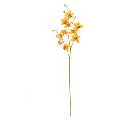 Ks orchidea phalaenopsis žltá 80cm