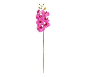 Ks orchidea phalaenopsis cyklaménová 73cm
