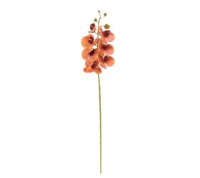 Ks orchidea phalaenopsis oranžová 73cm