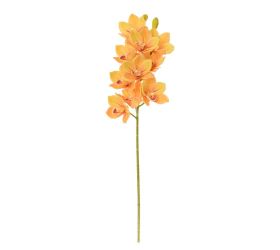 Ks orchidea cymbidium žlté 76cm