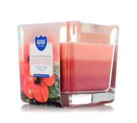 Voň.v skle trikolóra hibis+bie.šalvia /snk80-356/ 170gr