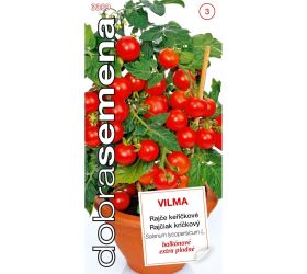 Rajčiak balk. vilma 50s