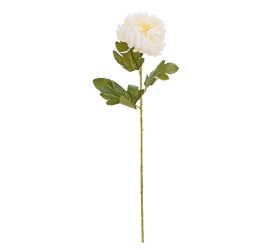 Ks chryzantéma biela 66cm