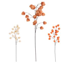 Konár physalis mix/3f 98cm
