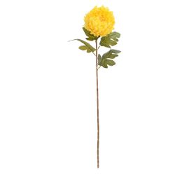 Ks chryzantéma žltá 75cm