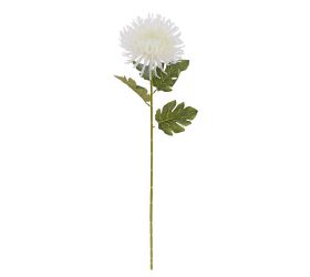 Ks chryzantéma biela 68cm