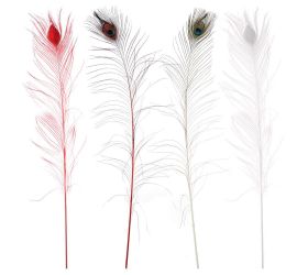 Pávie pero/ ks 90cm