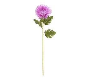 Ks chryzantéma fialová 68cm