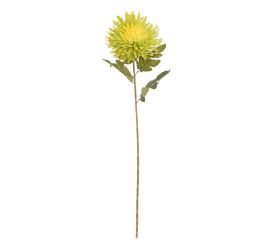 Ks chryzantéma žlto-zelená 70cm